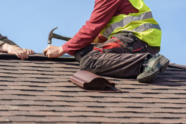 Best Shingle Roofing Installation  in Bellevle, IL