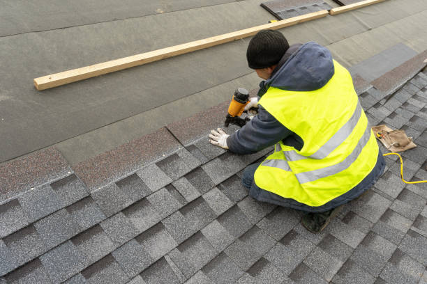 Best Roof Repair Services  in Bellevle, IL