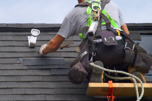 Roof Gutter Cleaning in Belleville, IL