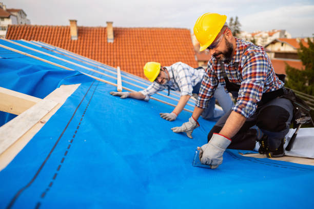 Best New Roof Installation  in Bellevle, IL