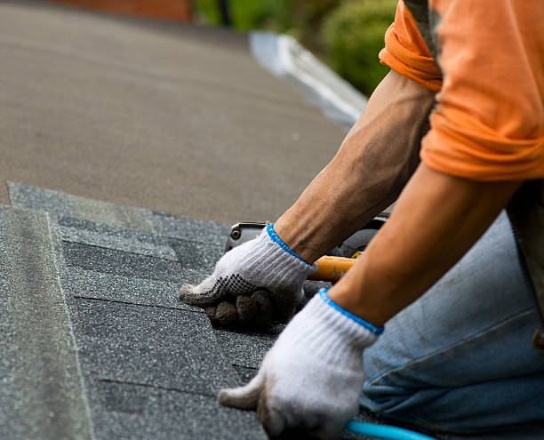 Best Flat Roof Repair Services  in Bellevle, IL
