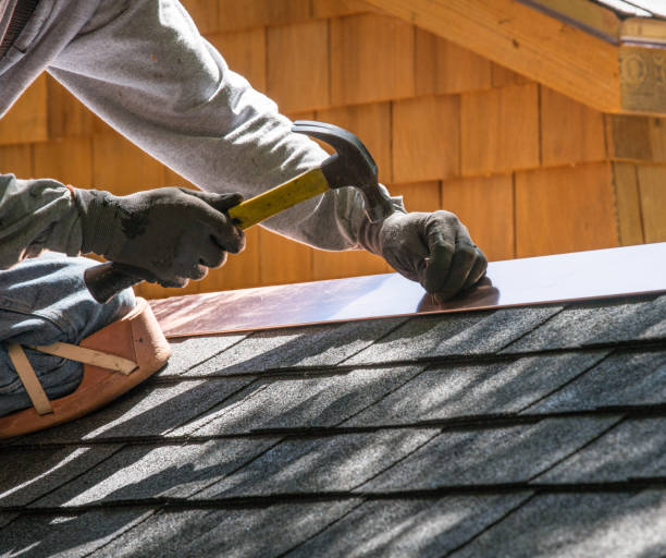 Best Roof Gutter Cleaning  in Bellevle, IL